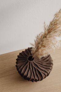 Kaboompics - Top-Down View of Dried Pampas Grass in Sculptural Brown Vase on Oak Surface