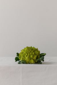 Kaboompics - Whole Romanesco Cauliflower on Light Background with Copy Space