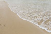 Kaboompics - Baltic Sea and Sandy Shore Background