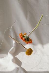 Kaboompics - Delicate Flower Arrangement with Neutral Fabric Texture