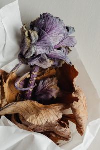 Kaboompics - Dried Purple Cabbage Leaf Bouquet Wrapped in White Paper