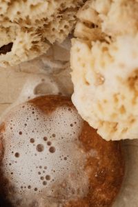 Kaboompics - Brown Soap Bar with Natural Sea Sponge Detail