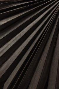Kaboompics - Dried Palm Leaf Veins in Diagonal Lines, Dark Botanical Texture for Backgrounds