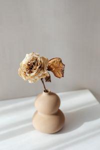 Kaboompics - Dried Cream Rose with Brown Leaves in Beige Ceramic Vase