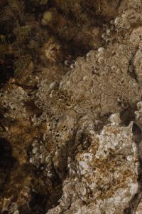 Kaboompics - Aerial Pattern of Shallow Water over Limestone