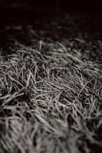 Grey rug texture closeup