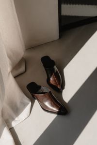 Kaboompics - Brown Leather Pointed Shoes in Sunlight