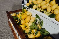 Kaboompics - Crates of Fresh Lemons at a Street Market