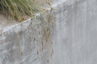 Kaboompics - Monochrome Dried Grass with Minimal Concrete Background