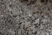 Kaboompics - Rough Rock Texture with Bright White and Brown Mineral Streaks