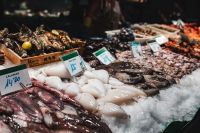 Kaboompics - Fresh Squid and Cuttlefish at Barcelona's La Boqueria