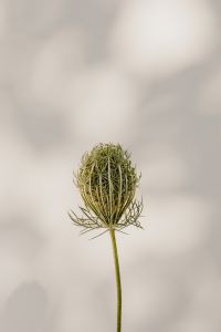 Kaboompics - Bright and warm free backgrounds or wallpapers