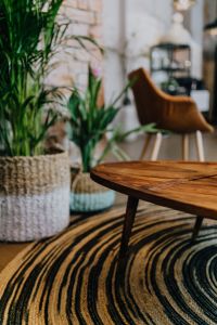 Kaboompics - Details of modern interior with green plants