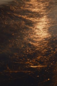 Kaboompics - Golden Light Reflection on Water Swirl Texture