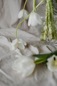 Kaboompics - Three White Tulip Heads Around a Clear Vase, Shallow Focus on Linen