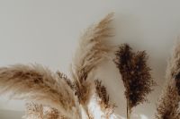 Kaboompics - Pampas Grass In A Vase