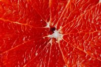Kaboompics - Macro Grapefruit Texture for Citrus Food and Drink Branding
