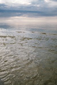Kaboompics - Rippling Shallow Ocean Water