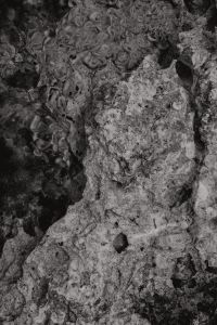 Kaboompics - Black and White Sea Ripples Beside a Rocky Coast