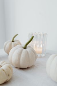 Kaboompics - White Mini Pumpkin Beside a Glass Candle