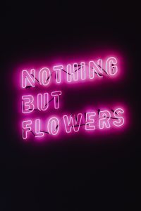 Kaboompics - Nothing But Flowers Glowing Neon