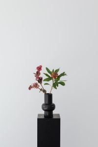 Kaboompics - Burgundy Hellebores and Protea in a Sculptural Black Vase