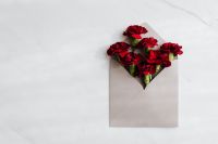 Kaboompics - Red Carnations in an Envelope with Large White Copy Space