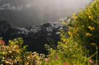 Kaboompics - Yellow Wildflowers with Ravello Village in Evening Sun