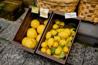Kaboompics - Lemon Stall Display With Wooden Boxes And Wicker Basket