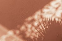Kaboompics - Peach Fuzz Wall with Palm Shadows