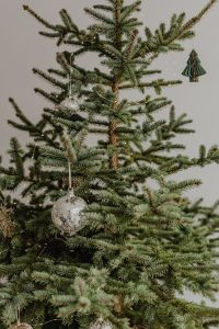 Kaboompics - Silver Ornament and Green Paper Tree Decoration