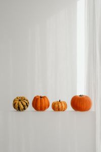 Kaboompics - Four Autumn Pumpkins on a White Shelf