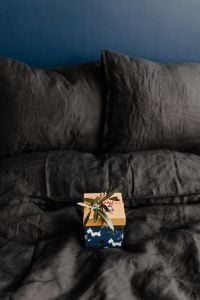 Kaboompics - Blue Christmas Gift Box on a Dark Velvet Sofa