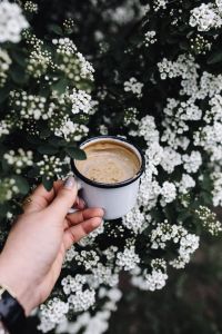 Kaboompics - Morning coffee outdoors in the garden