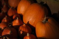 Kaboompics - Large Orange Pumpkin Behind a Cluster of Smaller Pumpkins