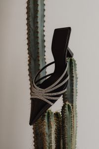 Kaboompics - Black Rhinestone Stiletto Against a Tall Cactus Plant