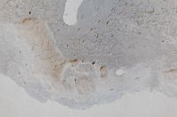 Kaboompics - Close-Up of Cracked Gray and Beige Stucco with Flaking Paint, Naples Italy Architectural Texture