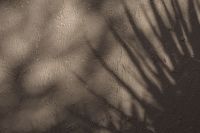 Kaboompics - Whispers of Beige - Captivating Shadow Backgrounds and Wallpapers in Warm Hues