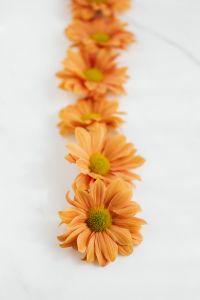 Kaboompics - Blurred Chrysanthemums on White Marble with Copy Space