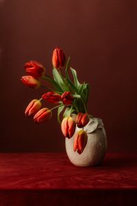Kaboompics - Red Tulip Bouquet in Textured White Vase, Moody Burgundy Floral Still Life
