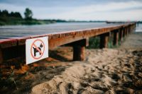 Kaboompics - Wooden pier with a sign