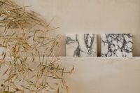 Kaboompics - Dried Grass and Art Prints on a Neutral Shelf
