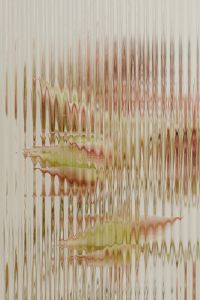 Kaboompics - Green Stem and Blush Petals Distorted Through Ribbed Glass, Abstract Botanical Texture