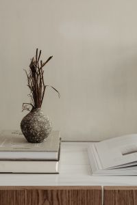 Kaboompics - Dried Branches in Ceramic Vase Beside an Open Interior Design Book