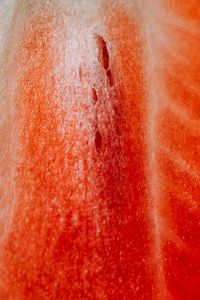 Close-Up of Strawberry Seeds and Pale Center, Fresh Berry Macro for Food Packaging