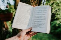Kaboompics - Hands Holding an Open Book Outdoors with Greenery and a Potted Plant in Soft Focus