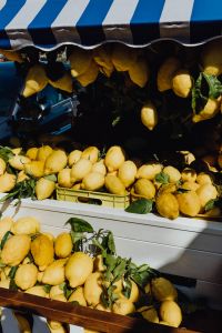 Kaboompics - Lemons Hanging beneath a Blue and White Market Awning
