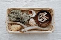 Kaboompics - Coastal Tray Styling with Driftwood, Dried Lichen and a Seashell Bowl on Woven Rattan