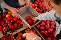 Kaboompics - Selecting Tomatoes at a Farmers Market