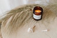 Kaboompics - Amber Spa Candle with Dried Smoke Bush Branches and Seashells